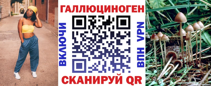 наркота  Дивногорск  mega tor  Псилоцибиновые грибы Psilocybine cubensis 